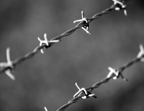 Pexels-danielabbatt-583347 PUT OPORAVKA