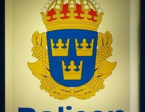 629-03-23 a